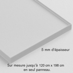 Plaque transparente sur mesure en plexiglass - épaisseur 5 mm