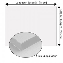 Plaque transparente sur mesure en plexiglass - épaisseur 5 mm